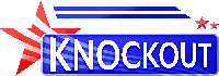 Election Year Knockout Logo